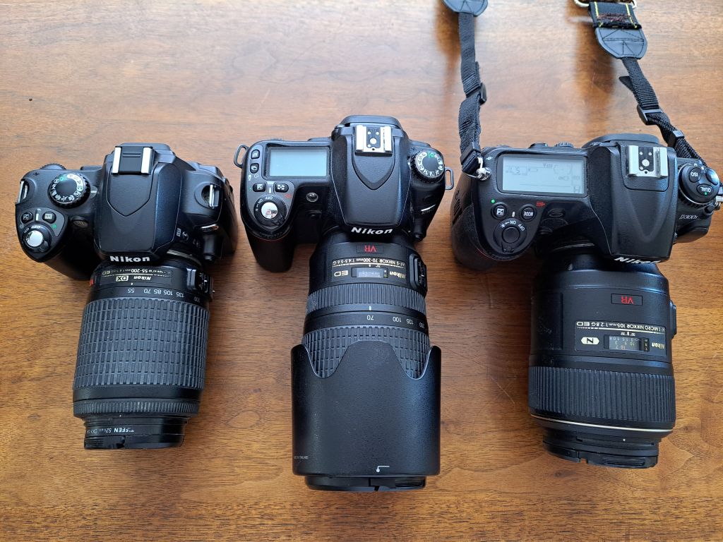 my nikon cameras and lens used for butterfly photography
